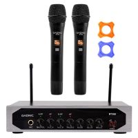 Micrófono Inalambrico Profesional Gadnic BT308 UHF